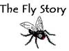 fly story