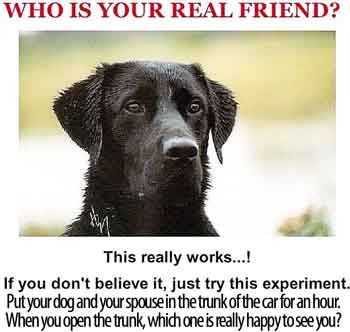 who is your real friend
